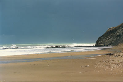 Whangaehu Beach Photo